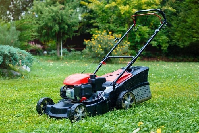 Petrol for Lawn Mower