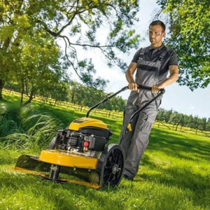 Alternative view of Best Wheeled Trimmer Mower – Cub Cadet Force Series LC3 DP56 Powerful Model