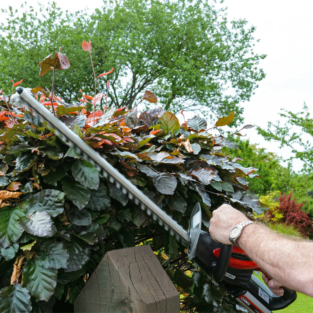 Alternative view of Cobra H5024V – Lightweight 24V Cordless Hedge Trimmer